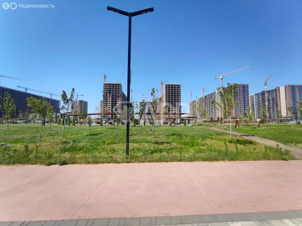 Помещение свободного назначения (54.8 м) - Фото 1