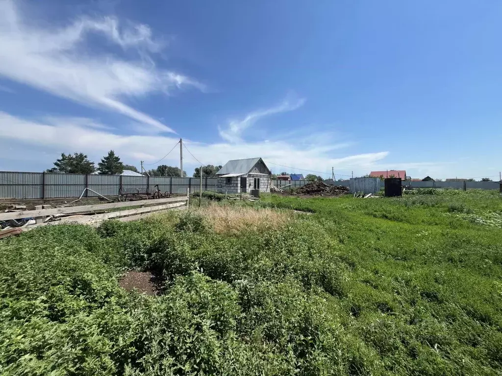 Участок в Оренбургская область, Саракташский район, Черкасский ... - Фото 2