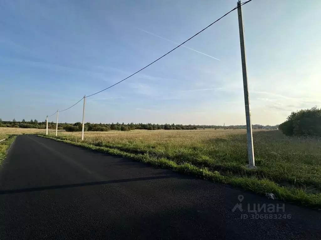 Участок в Ленинградская область, Всеволожский район, Романовское ... - Фото 1