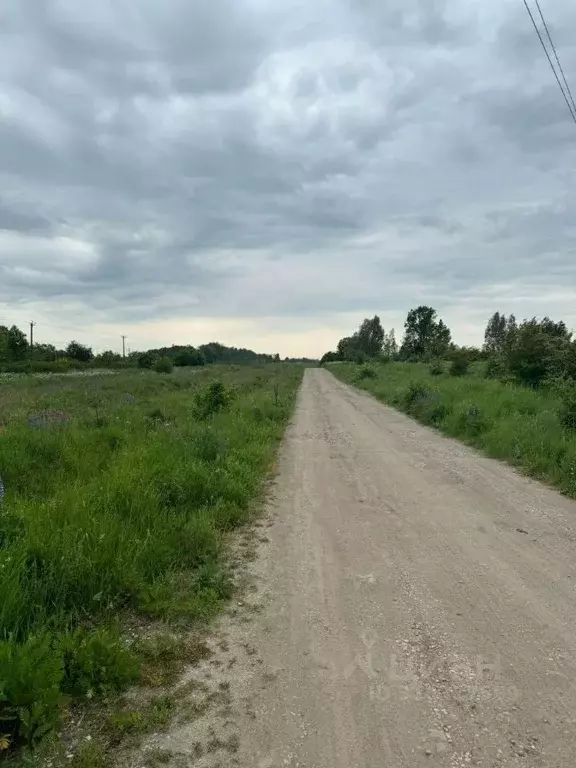 Участок в Калининградская область, Гурьевский муниципальный округ, ... - Фото 2