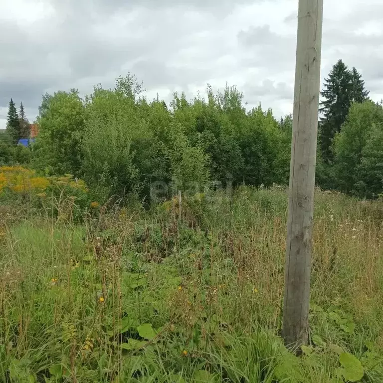 Участок в Пермский край, Пермский муниципальный округ, Ключики № 10 ... - Фото 1