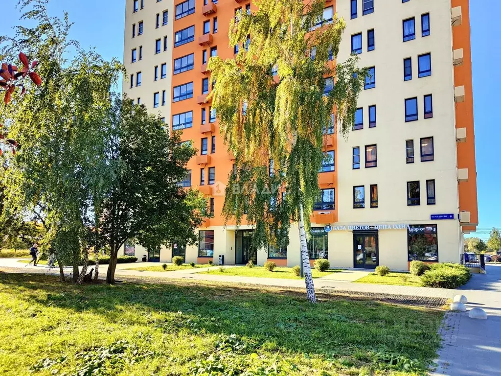 Студия Калужская область, Калуга ул. 65 лет Победы, 6 (24.2 м) - Фото 1