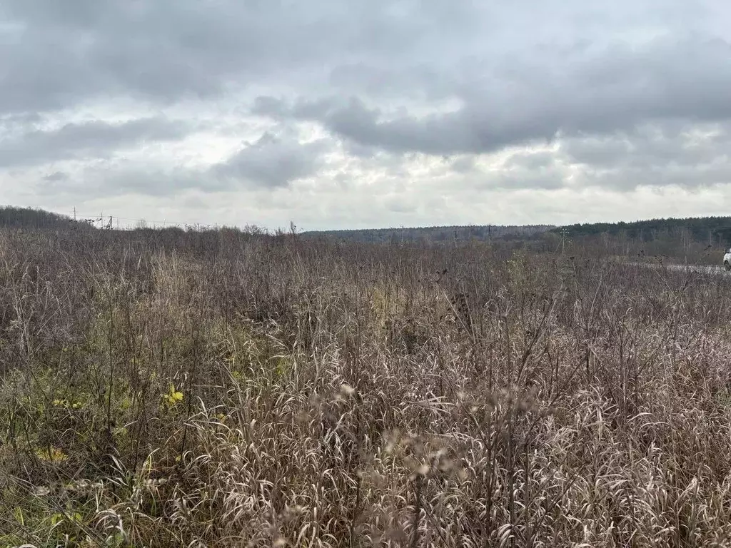 Участок в Московская область, Воскресенск городской округ, д. ... - Фото 1