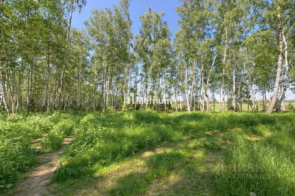 Участок в Московская область, Одинцовский городской округ, д. ... - Фото 1