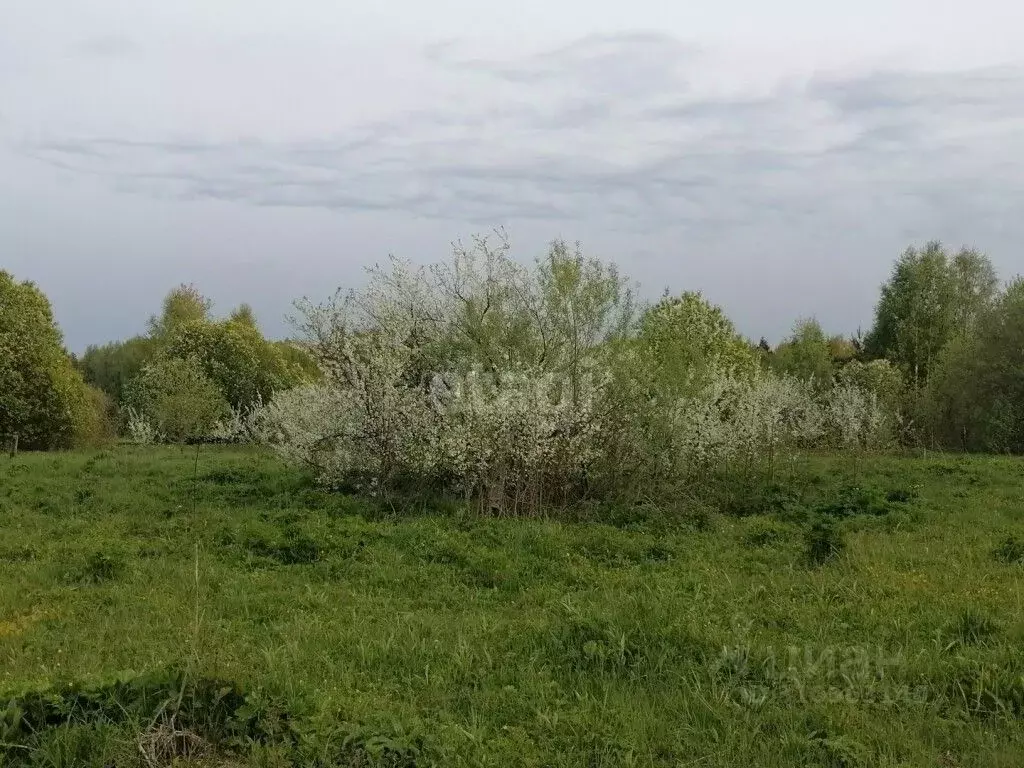 Участок в Владимирская область, Судогодский район, Мошокское ... - Фото 0