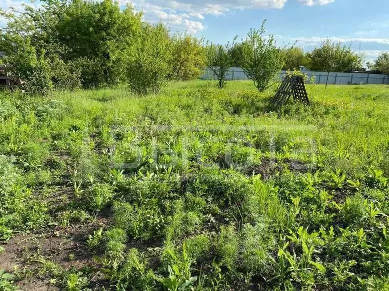 Купить Участок В Новоусманском Районе Воронежской Области