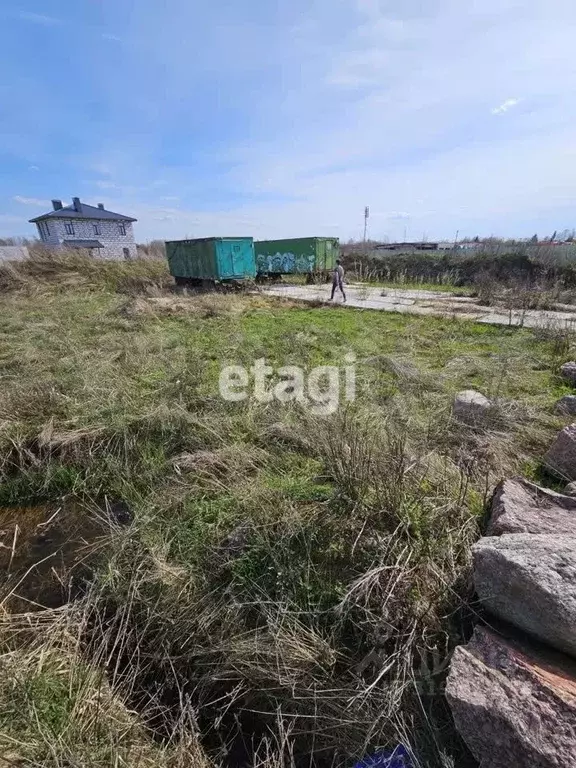 Участок в Ленинградская область, Гатчинский район, д. Романовка, ... - Фото 0