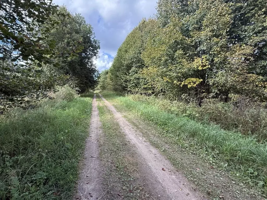 Участок в Смоленская область, Смоленский муниципальный округ, д. ... - Фото 2