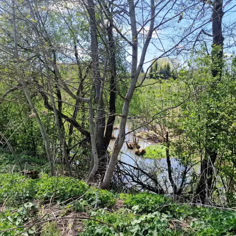 Участок в Калужская область, Боровский муниципальный округ, ... - Фото 2