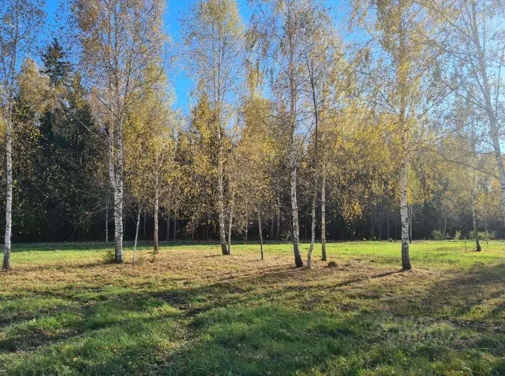 Участок в Московская область, Ступино городской округ, Грин форест ... - Фото 0