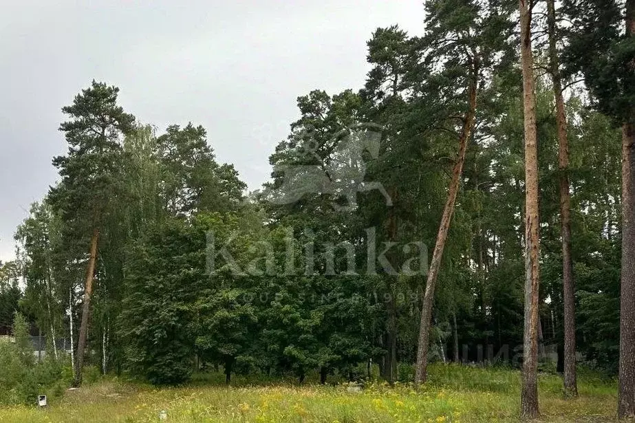 Участок в Московская область, Одинцовский городской округ, пос. ... - Фото 2