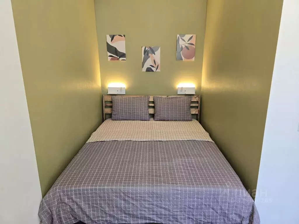 Студия Краснодарский край, Сочи ул. Ленина, 290/8к3 (30.0 м) - Фото 2