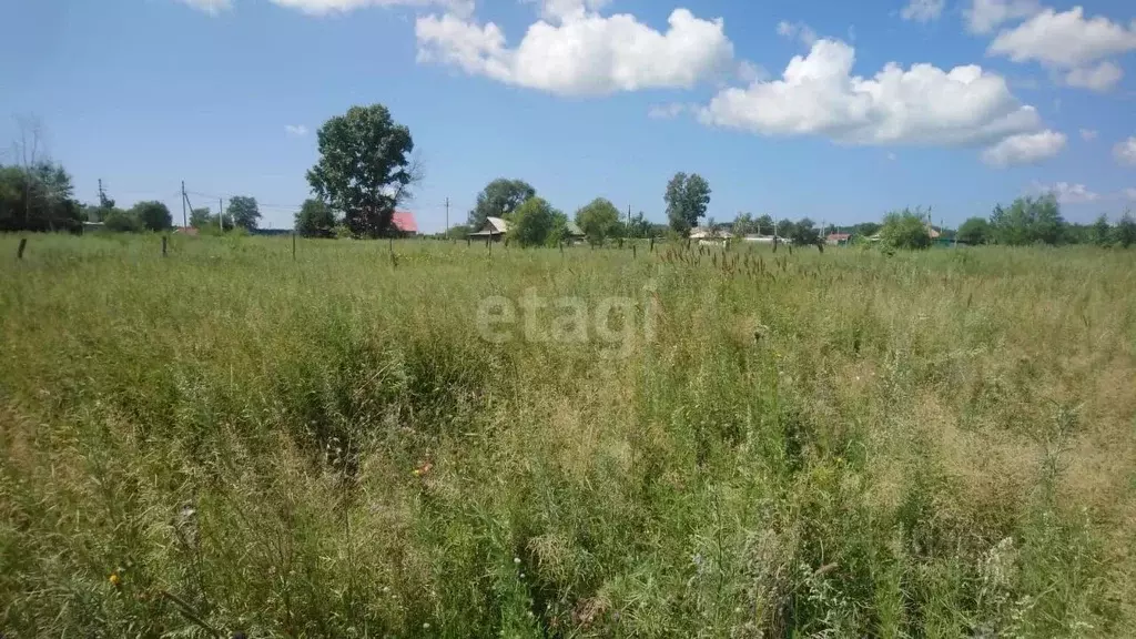 Участок в Амурская область, Благовещенский район, с. Новотроицкое ул. ... - Фото 1