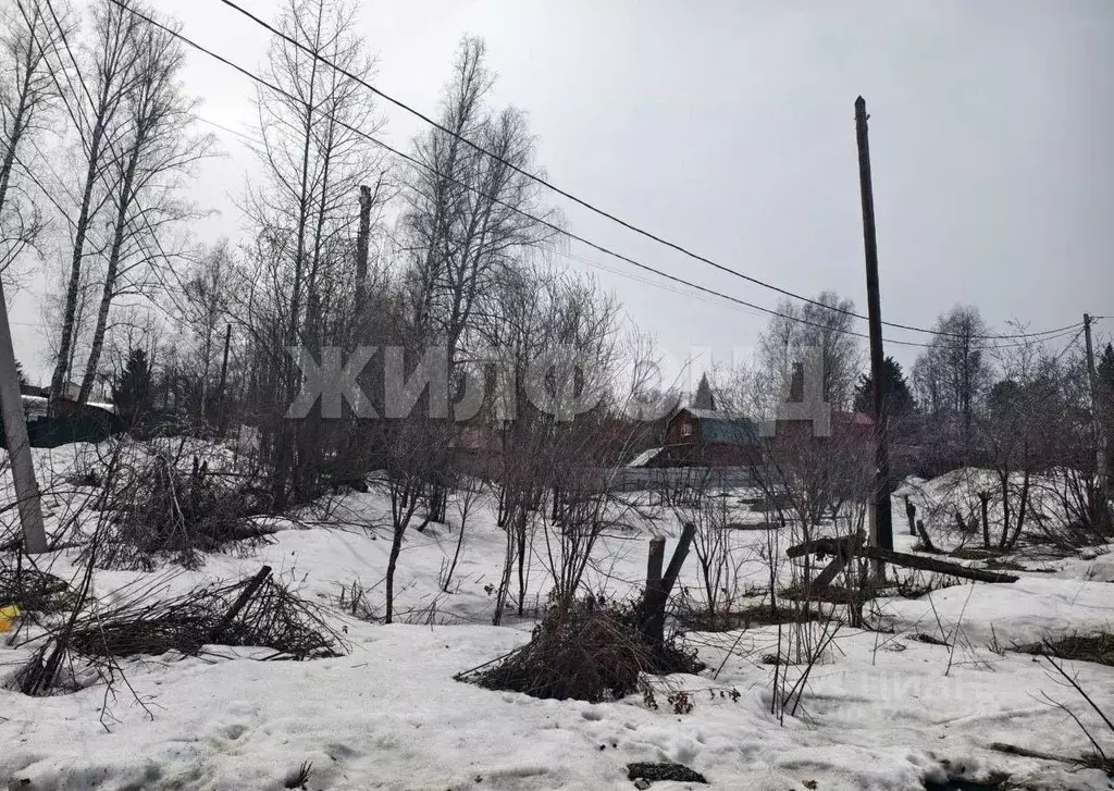 Участок в Новосибирская область, Новосибирск Спутник садовое ... - Фото 1