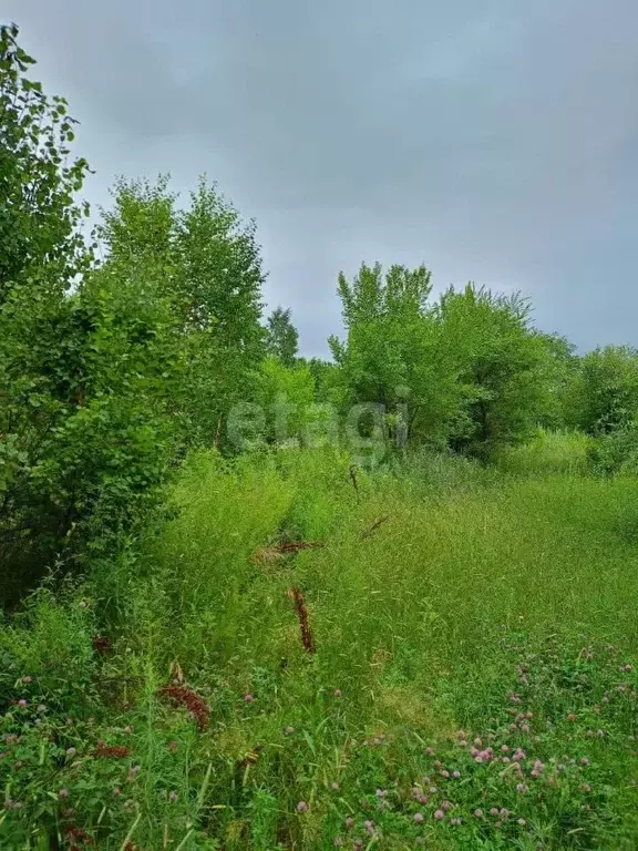 Участок в Амурская область, Благовещенский район, с. Владимировка  ... - Фото 0