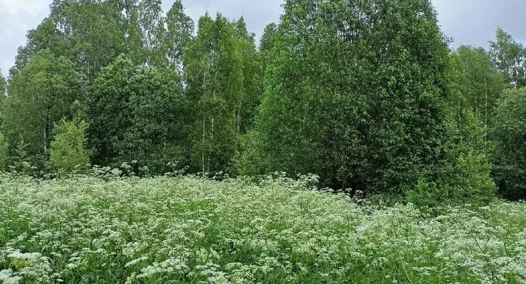 Участок в Московская область, Дмитровский муниципальный округ, д. ... - Фото 0