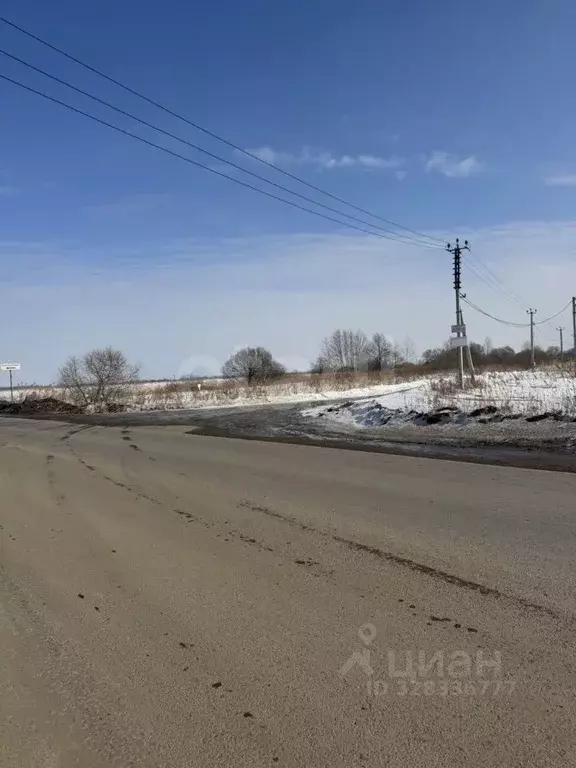 Участок в Хабаровский край, Хабаровский район, Тополевское с/пос, с. ... - Фото 1