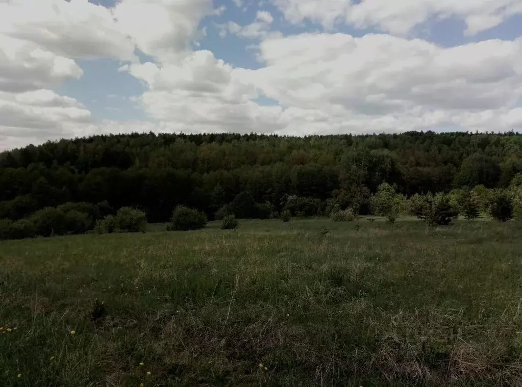 Участок в Пензенская область, Городищенский район, Родничок СТ  (10.0 ... - Фото 0