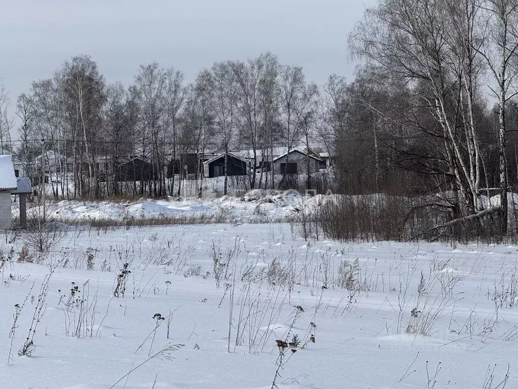 Участок в Алтайский край, Первомайский район, с. Фирсово Палитра жилой ... - Фото 1