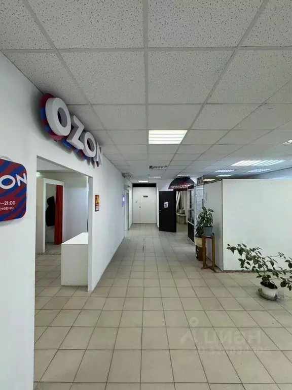 Торговая площадь в Чувашия, Чебоксары ул. Баумана, 8 (50 м) - Фото 2