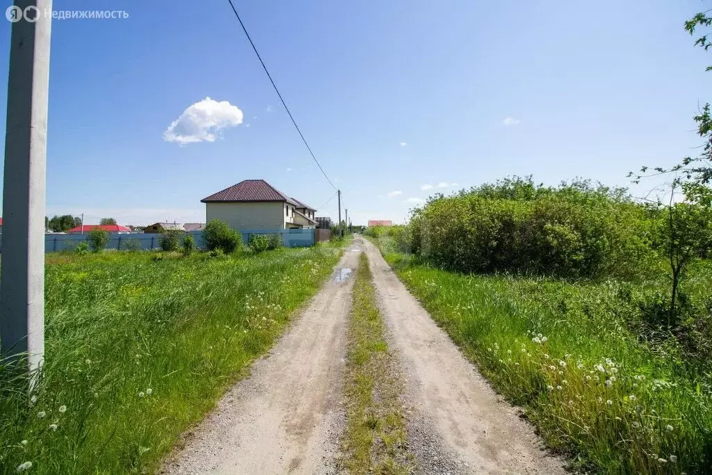 Участок в Тюмень, садовое товарищество Царево, Васильковая улица (7.24 ... - Фото 2