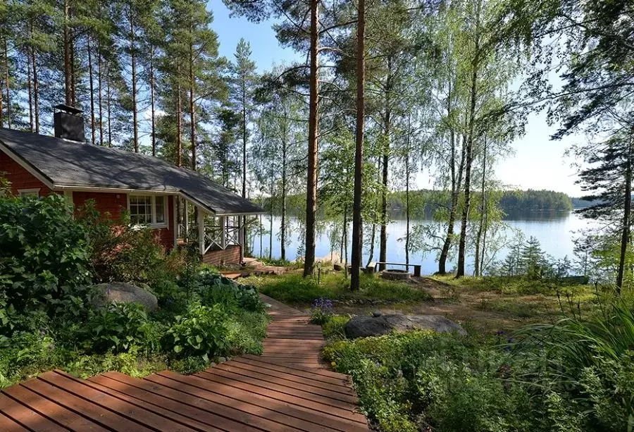 Участок в Тверская область, Осташковский муниципальный округ, д. Гуща  ... - Фото 1