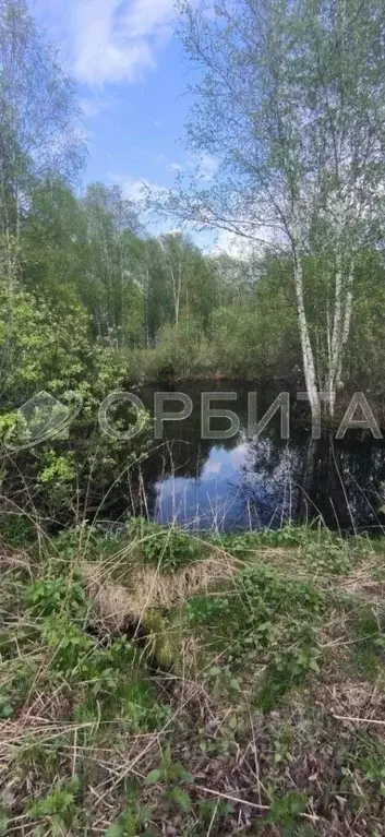 Участок в Тюменская область, Нижнетавдинский район, Фортуна СТ ул. ... - Фото 1