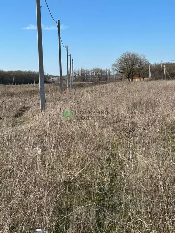 Участок в Краснодарский край, Новороссийск городской округ, ... - Фото 1