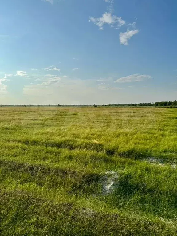 Участок 10 сот. (СНТ, ДНП) - Фото 0