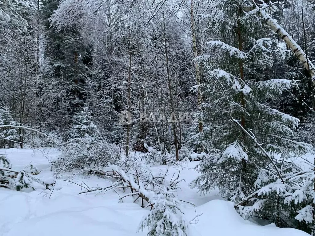 Участок в Московская область, Щелково городской округ, д. Вторая ... - Фото 0