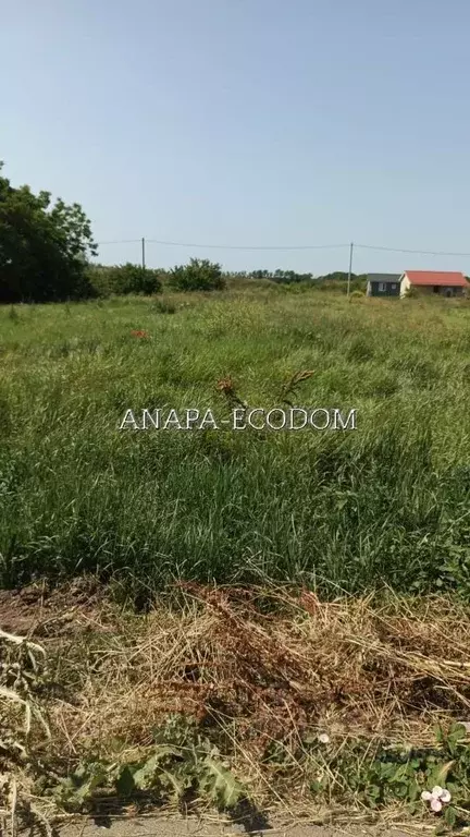 Участок в Краснодарский край, Темрюкский район, Фонталовское с/пос, ... - Фото 1