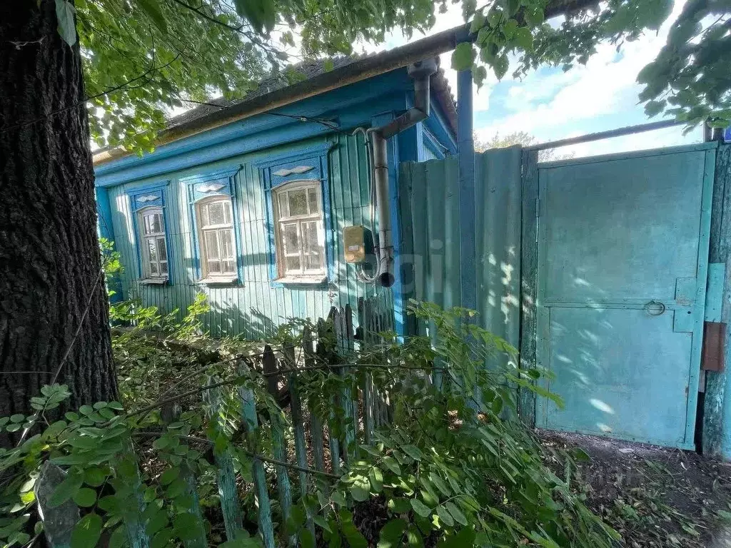 Дом в Белгородская область, Чернянский район, Большанское с/пос, ... - Фото 2