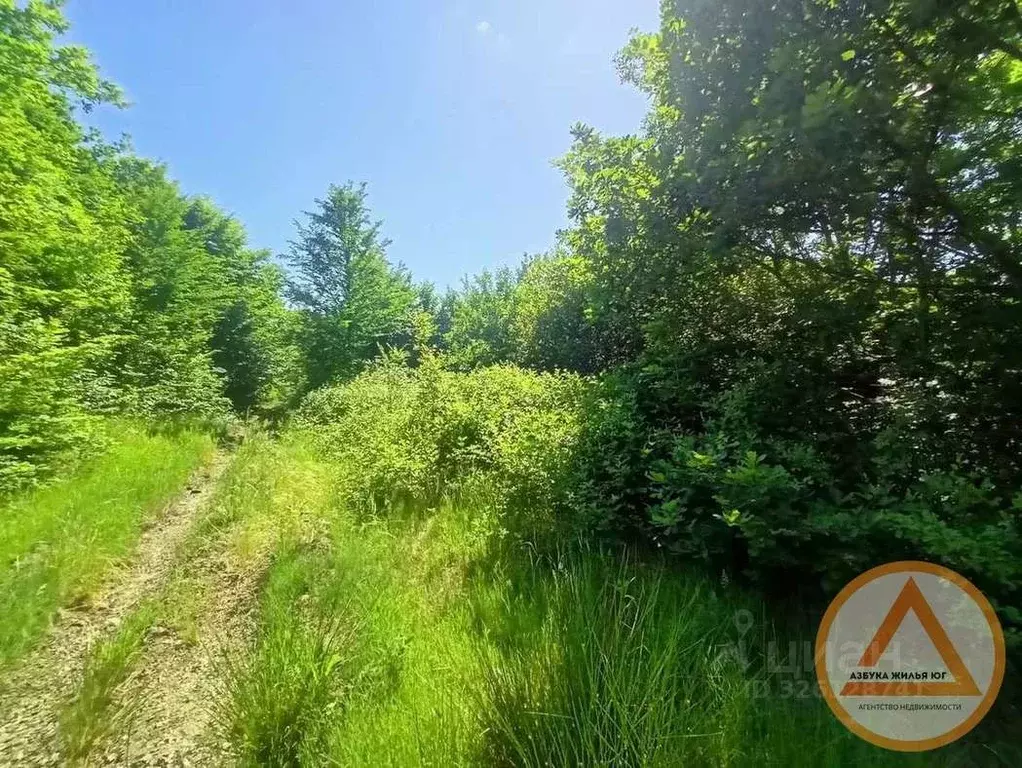 Участок в Краснодарский край, Туапсинский муниципальный округ, с. ... - Фото 1