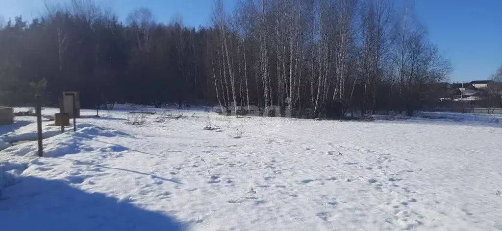 Участок в Владимирская область, Муромский район, Ковардицкое ... - Фото 1