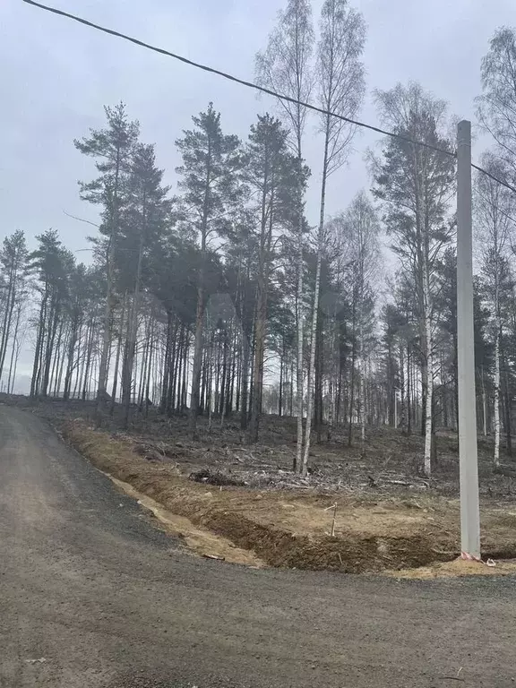 Участок 6 сот. (СНТ, ДНП) - Фото 1