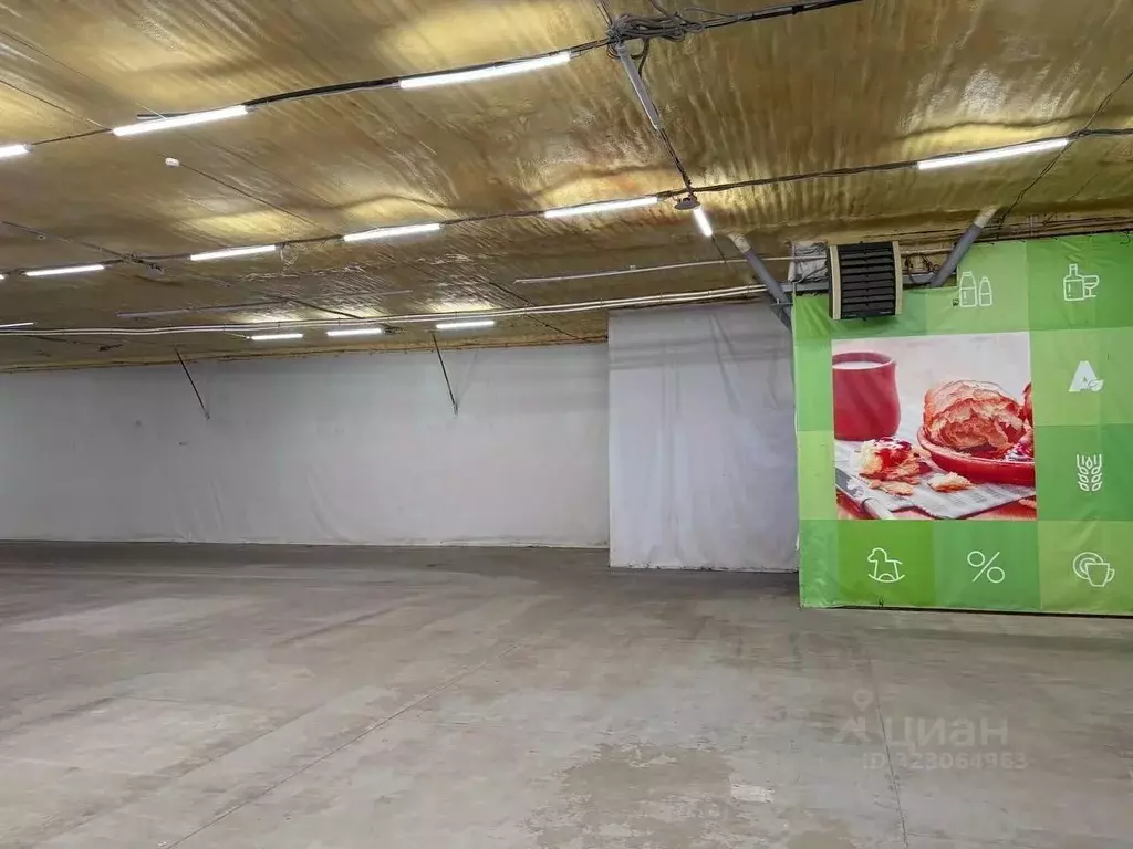 Торговая площадь в Хабаровский край, Хабаровск Воронежская ул., 150А ... - Фото 1