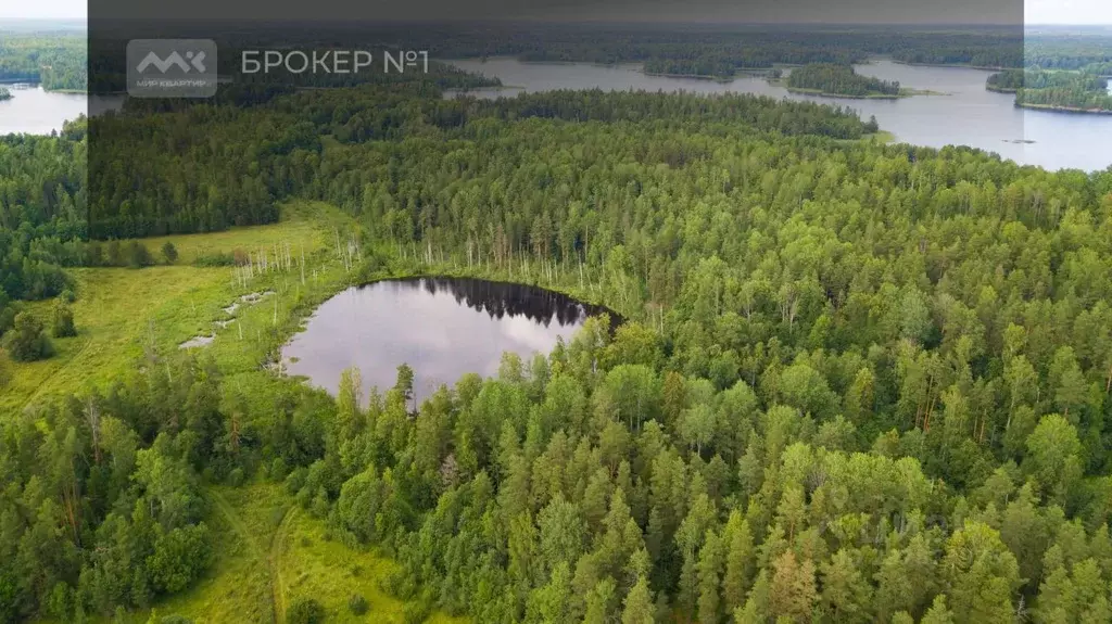 Участок в Ленинградская область, Приозерский район, Мельниковское ... - Фото 1