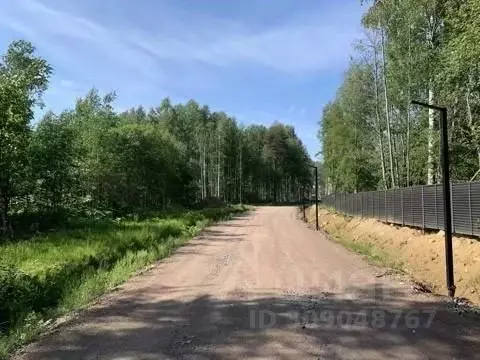 Участок в Ленинградская область, Выборгский район, Первомайское с/пос, ... - Фото 1