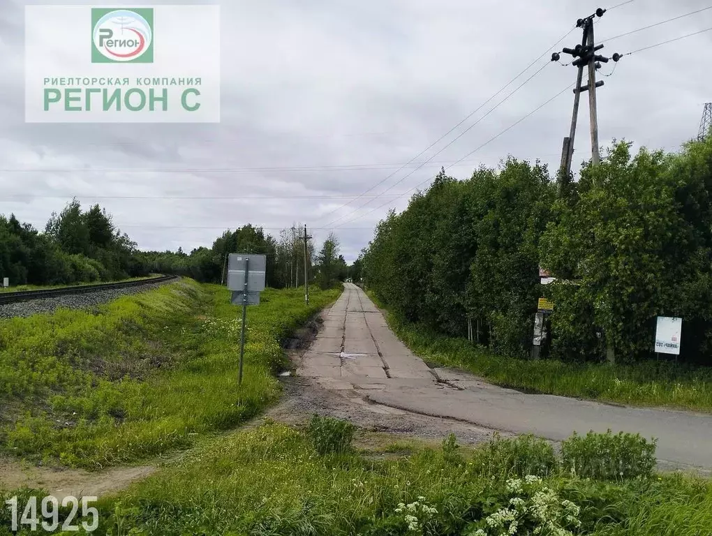 Участок в Архангельская область, Архангельск Чайка садовое ... - Фото 0