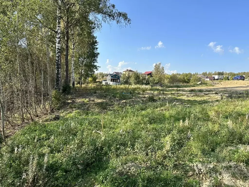 Участок в Ленинградская область, Всеволожский район, Лесколовское ... - Фото 1