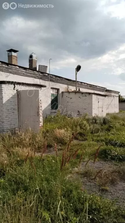 Участок в Большой Мелик, Кооперативная улица, 19А (2024 м) - Фото 1