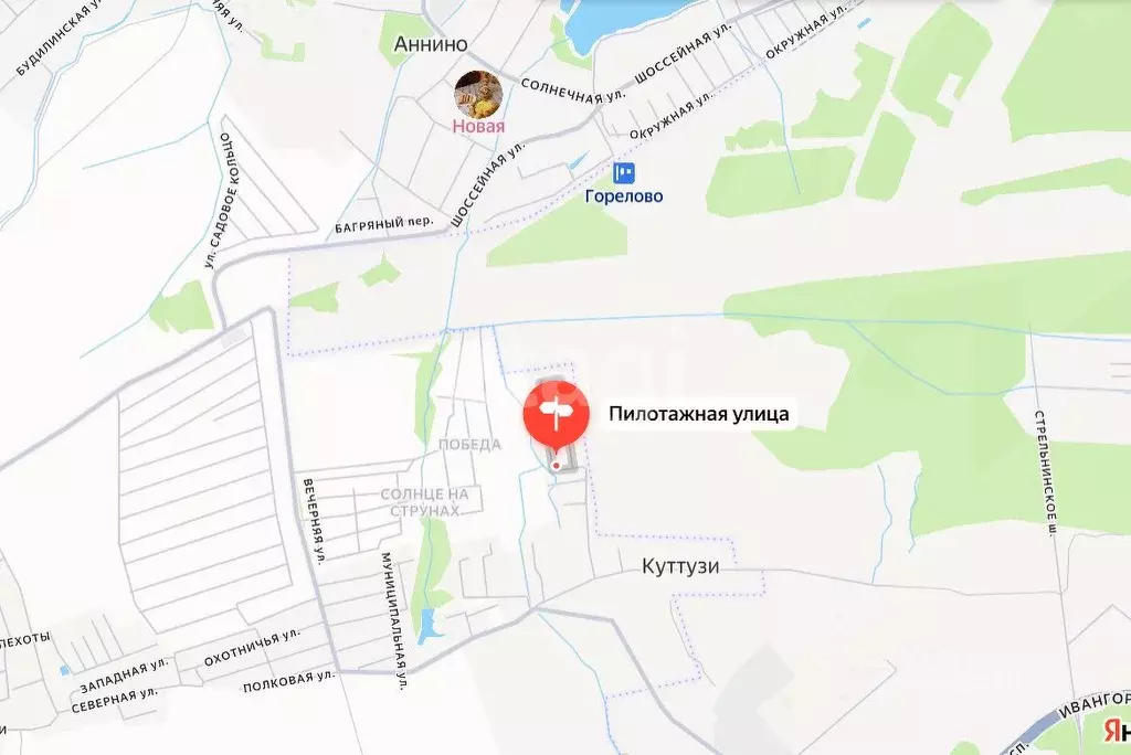 Участок в Ленинградская область, Ломоносовский район, Аннинское ... - Фото 1