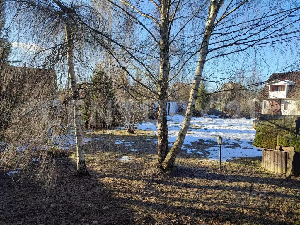 Участок в Московская область, Одинцовский городской округ, Учитель СНТ ... - Фото 1