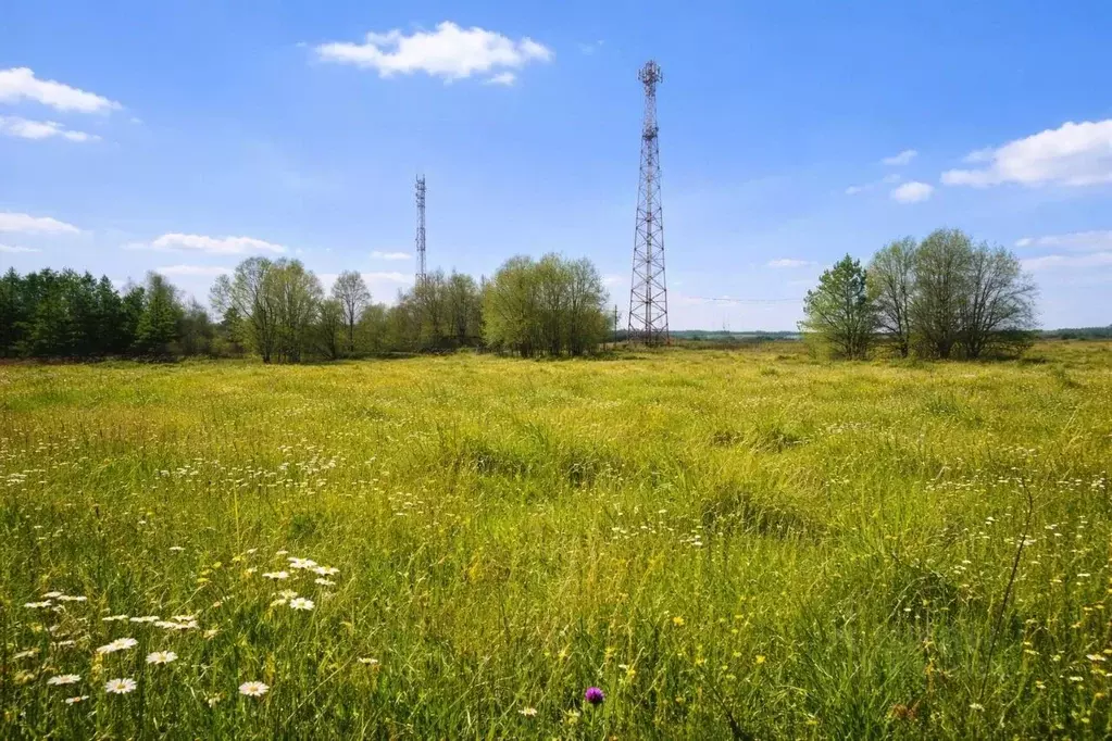 Участок в Ленинградская область, Гатчинский муниципальный округ, д. ... - Фото 2