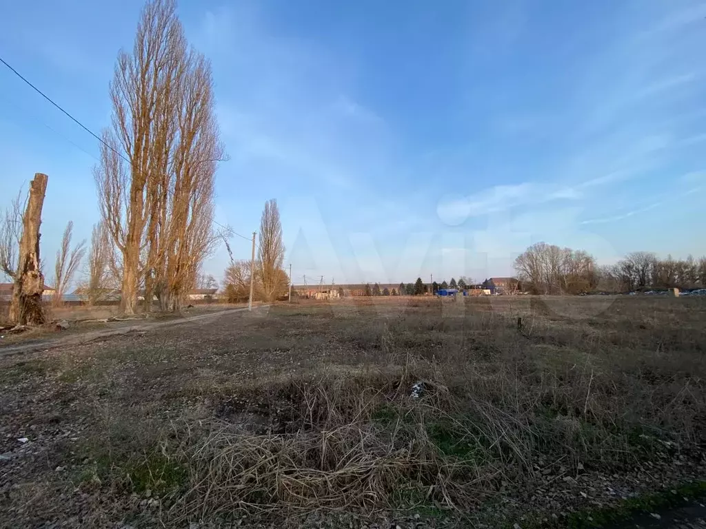 Участок 100 сот. (СНТ, ДНП) - Фото 0