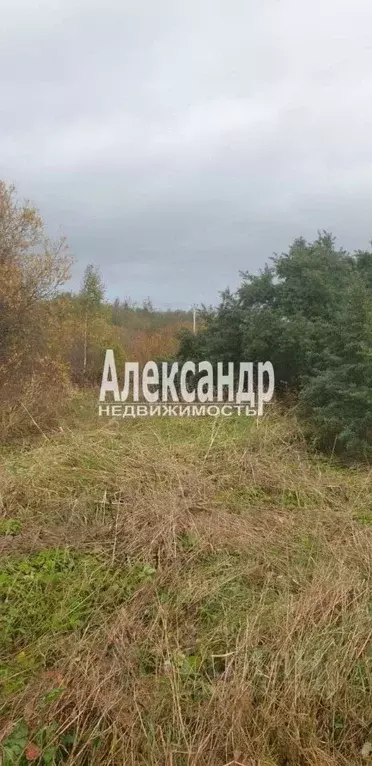Участок в Ленинградская область, Лужский район, пос. Оредеж ул. ... - Фото 0