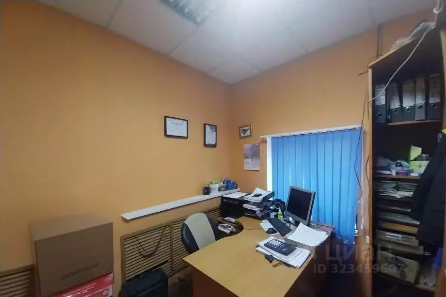 Торговая площадь в Пермский край, Александровск Яйва пгт, ... - Фото 2