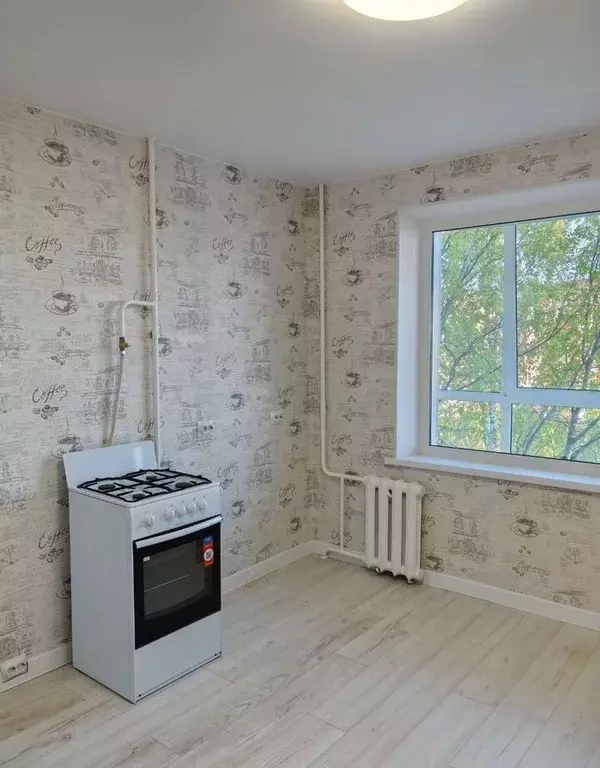 1-к кв. Ленинградская область, Выборг ул. Гагарина, 37 (38.0 м) - Фото 1