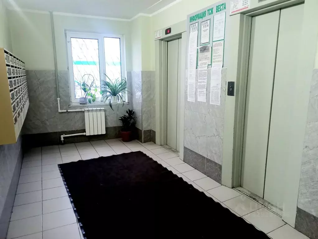 1-к кв. Санкт-Петербург Шлиссельбургский просп., 22 (37.8 м) - Фото 2