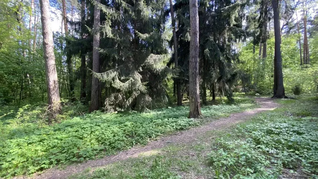 Участок в Московская область, Раменский муниципальный округ, Кратово ... - Фото 1